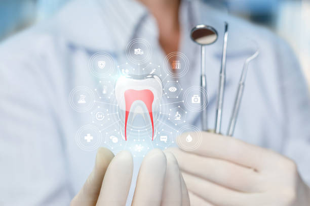 Why Choose Us for Your Dental Needs in Wheatland, WY